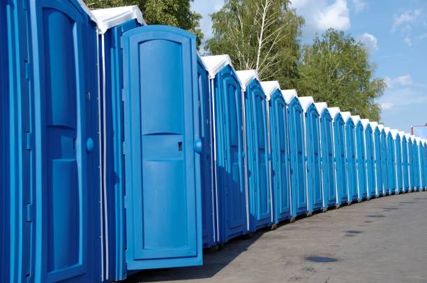 Best Affordable portable toilet rental  in Spring Hill, KS